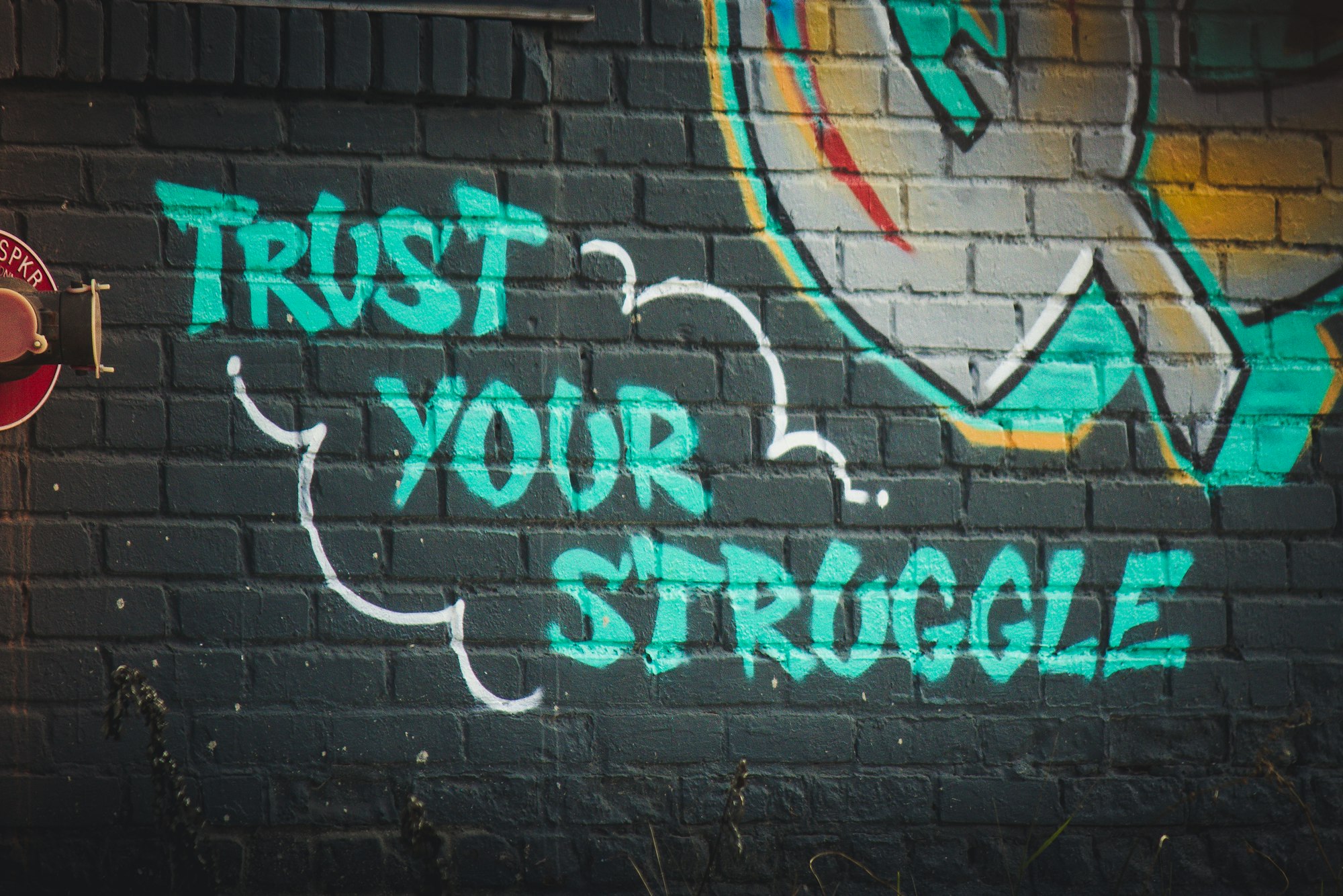 Trust Your Struggle: The Kachha Ghada Song